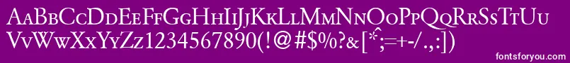 GarondcapsdbNormal Font – White Fonts on Purple Background