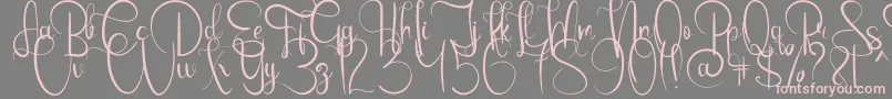 EmanuelaBold Font – Pink Fonts on Gray Background