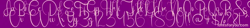 EmanuelaBold Font – Pink Fonts on Purple Background