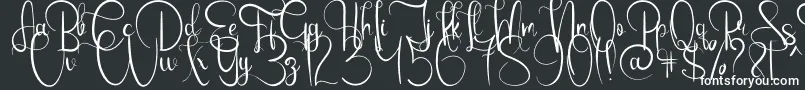 Шрифт EmanuelaBold – белые шрифты