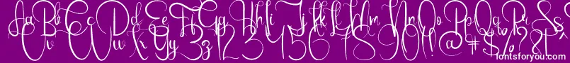 EmanuelaBold Font – White Fonts on Purple Background