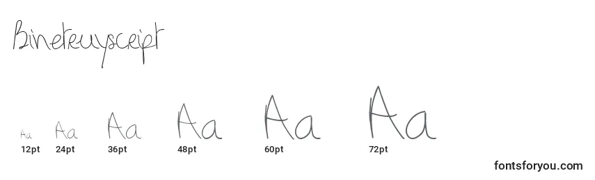 Binetruyscript Font Sizes