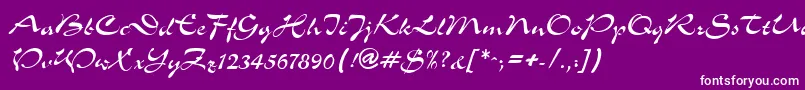 フォントSlalomRegular – 紫の背景に白い文字