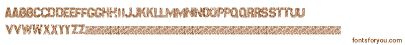Шрифт Surfpoint – коричневые шрифты на белом фоне