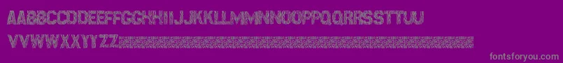 Surfpoint-Schriftart – Graue Schriften auf violettem Hintergrund