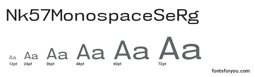 Размеры шрифта Nk57MonospaceSeRg