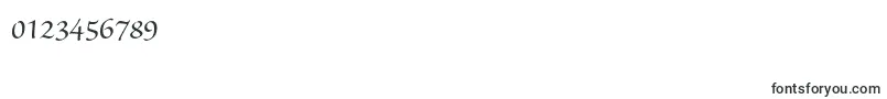 SanvitoproSubh Font – Fonts for Numbers and Digits