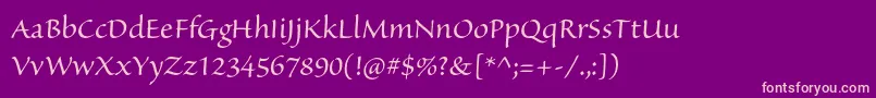 SanvitoproSubh Font – Pink Fonts on Purple Background