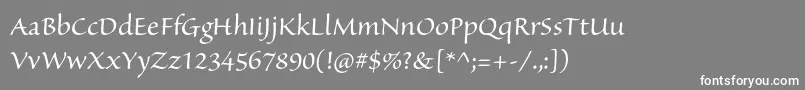 SanvitoproSubh Font – White Fonts on Gray Background