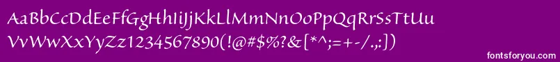 フォントSanvitoproSubh – 紫の背景に白い文字