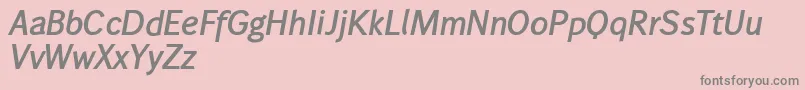 Wendelinhalbfettkursiv Font – Gray Fonts on Pink Background