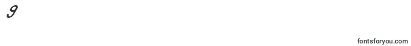 OmicronZetaSlant Font – Fonts for Digit 9