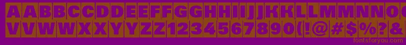 Grotic5 Font – Brown Fonts on Purple Background