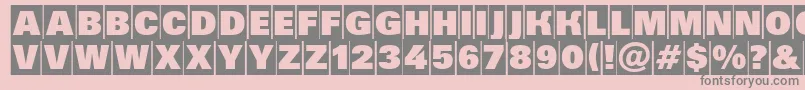 Grotic5 Font – Gray Fonts on Pink Background