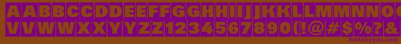 Grotic5 Font – Purple Fonts on Brown Background