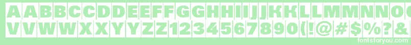 Grotic5 Font – White Fonts on Green Background