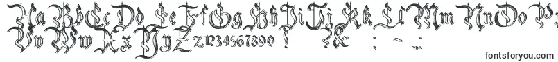 CharterwellNo5-fontti – Ilman serifejä olevat fontit