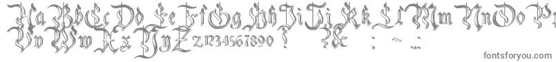 CharterwellNo5-Schriftart – Graue Schriften auf weißem Hintergrund