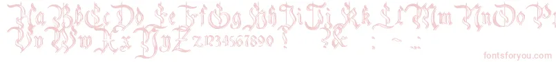 CharterwellNo5-Schriftart – Rosa Schriften auf weißem Hintergrund