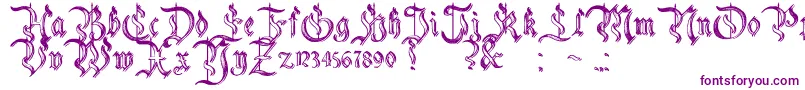 CharterwellNo5-Schriftart – Violette Schriften auf weißem Hintergrund