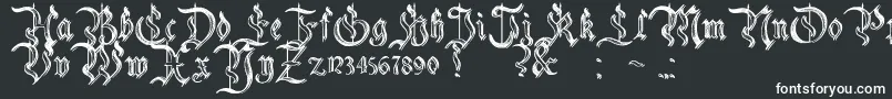 Шрифт CharterwellNo5 – белые шрифты