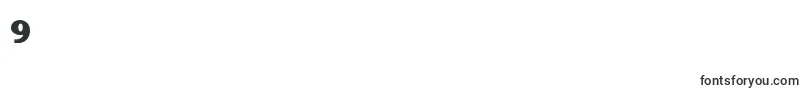 Lakeshor Font – Fonts for Digit 9
