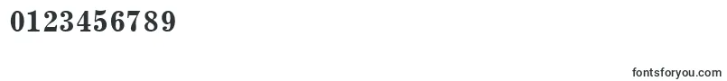 CentricSsiBold-Schriftart – Schriften für Zahlen und Nummern