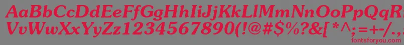 SurprizcBolditalic Font – Red Fonts on Gray Background