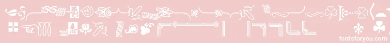 Bordersornament6 Font – White Fonts on Pink Background