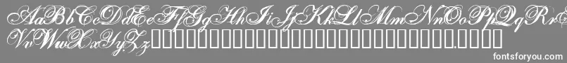 Onefs-Schriftart – Weiße Schriften auf grauem Hintergrund