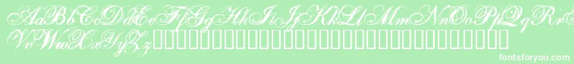 Onefs Font – White Fonts on Green Background