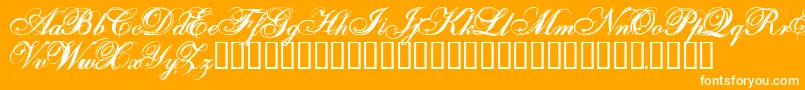 Onefs Font – White Fonts on Orange Background