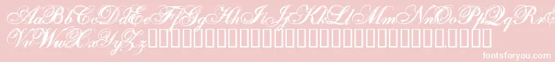 Onefs Font – White Fonts on Pink Background