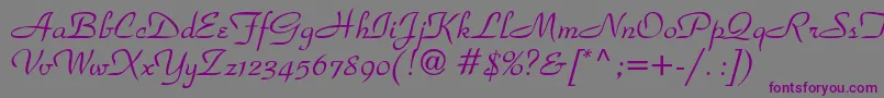 ParkadbNormal Font – Purple Fonts on Gray Background
