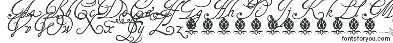 Шрифт Tagettesplus – элегантные шрифты