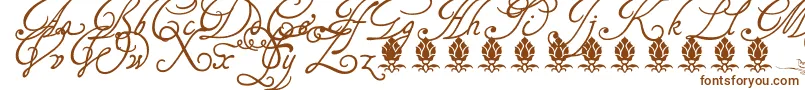 Tagettesplus-Schriftart – Braune Schriften auf weißem Hintergrund