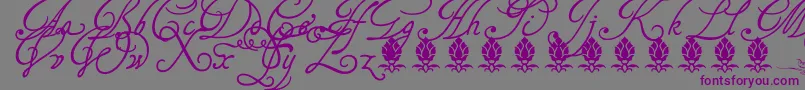 フォントTagettesplus – 紫色のフォント、灰色の背景