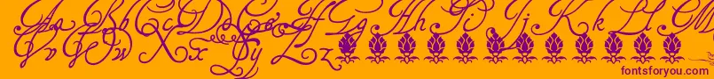 Tagettesplus-fontti – violetit fontit oranssilla taustalla