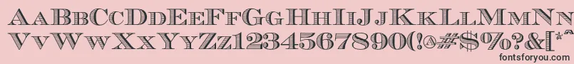 Ecuyerr0902 Font – Black Fonts on Pink Background