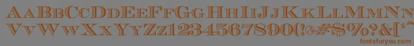 Ecuyerr0902 Font – Brown Fonts on Gray Background