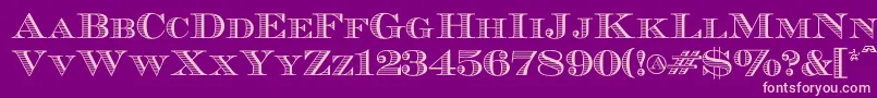 Ecuyerr0902 Font – Pink Fonts on Purple Background