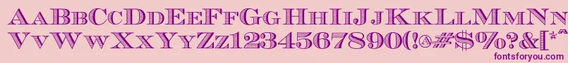 Ecuyerr0902 Font – Purple Fonts on Pink Background