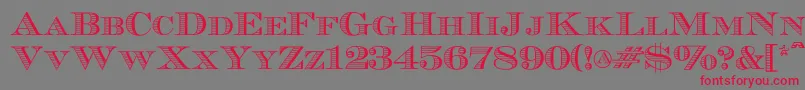 フォントEcuyerr0902 – 赤い文字の灰色の背景