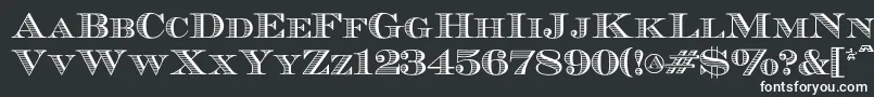 Ecuyerr0902-fontti – valkoiset fontit mustalla taustalla