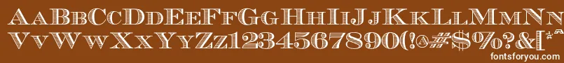 Ecuyerr0902-fontti – valkoiset fontit ruskealla taustalla