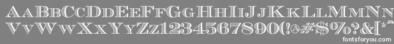 フォントEcuyerr0902 – 灰色の背景に白い文字