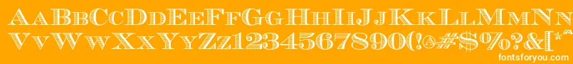 Ecuyerr0902 Font – White Fonts on Orange Background