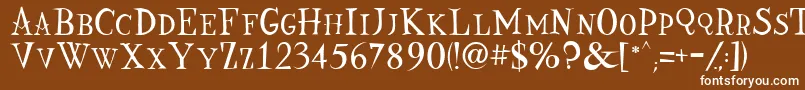 Nine Font – White Fonts on Brown Background