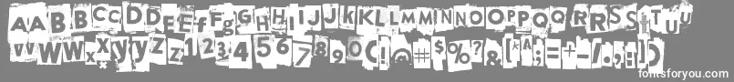 Appendix Font – White Fonts on Gray Background