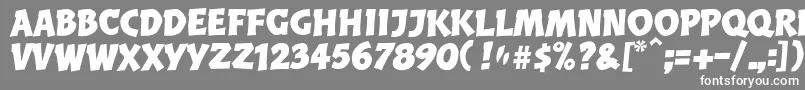 フォントBalderLl – 灰色の背景に白い文字